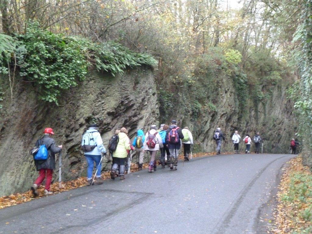 La randonnée du 23 novembre à Goupillières